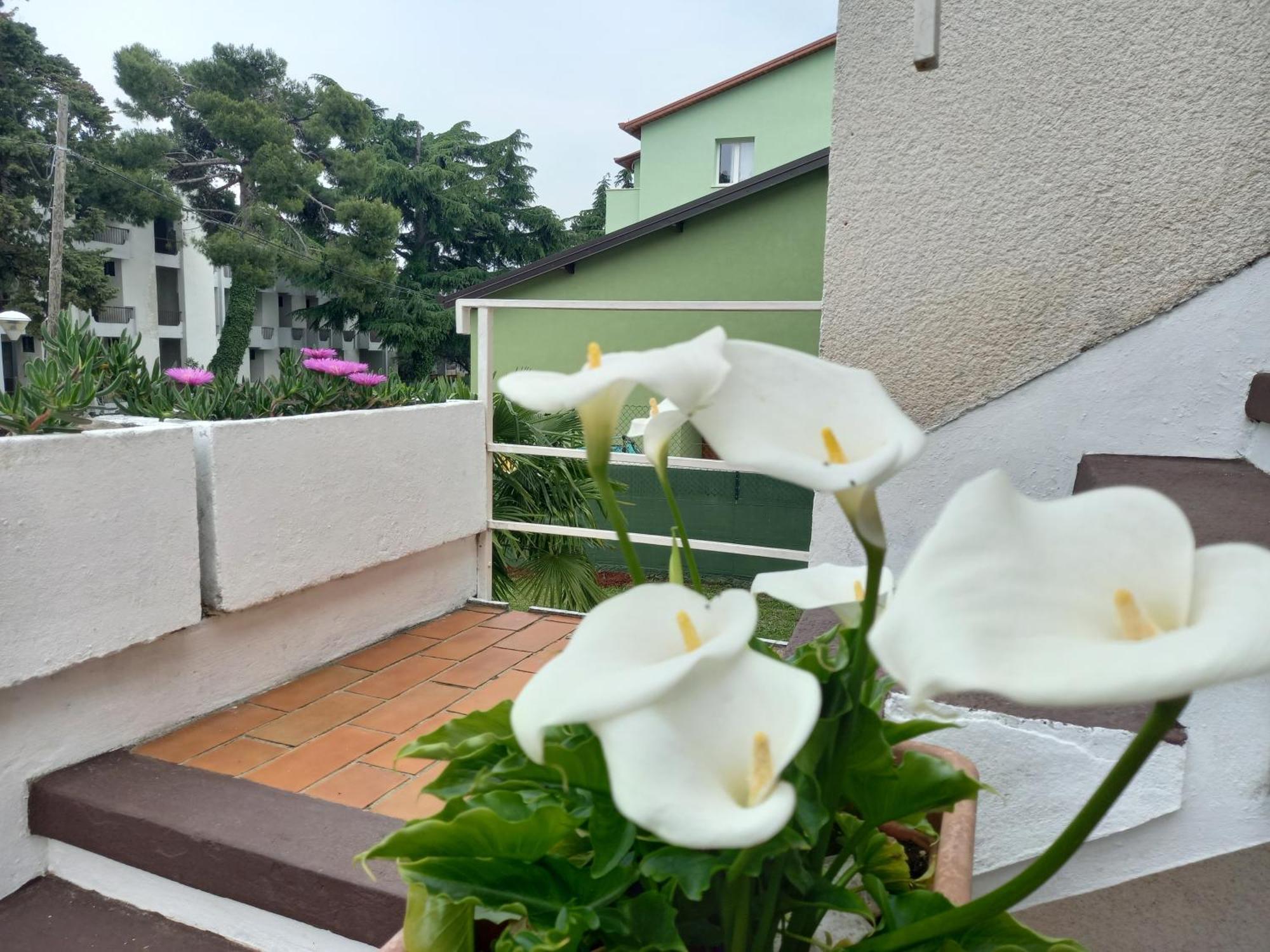 Apartment Dasen
